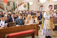 tn_IMG_5675