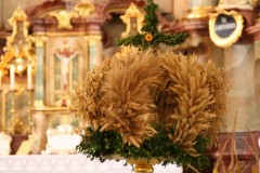 tn_IMG_6724
