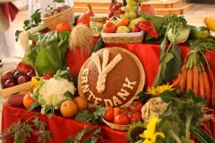 tn_IMG_8652