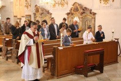 tn_IMG_8682