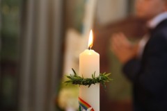 tn_IMG_7239