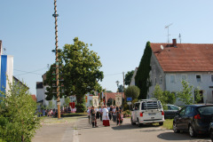 DSC_0642