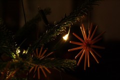 tn_IMG_6890