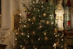 tn_IMG_6905