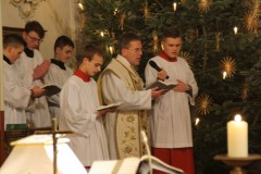 tn_IMG_6915