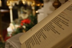 tn_IMG_6918
