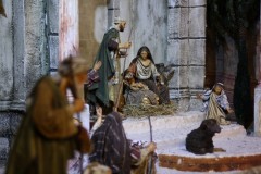 tn_IMG_6921