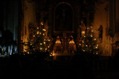 tn_IMG_1629