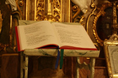 tn_IMG_3768