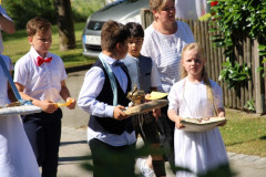 tn_IMG_3641