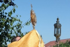 tn_IMG_1945