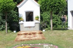 tn_IMG_2012