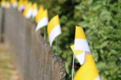 tn_IMG_4836
