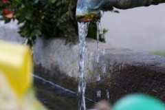 tn_IMG_1702