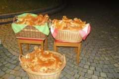 nattenhausen_stmartin2019_06
