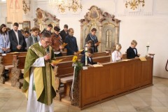 tn_IMG_8442